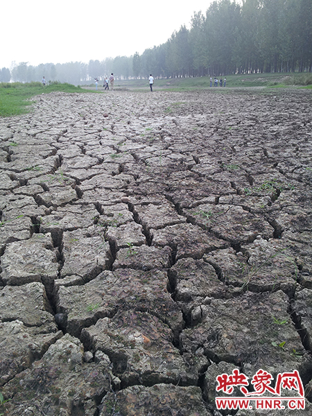 澎河匯入白龜山水庫處，河床已經(jīng)全部干裂，等待丹江水的到來。
