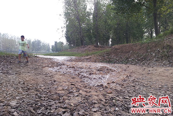 18日丹江水沿澎河流向白龜山水庫，孩子歡騰起來，跟著水頭奔跑。