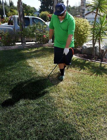 加州一市民正在為草地翻新“整容”。