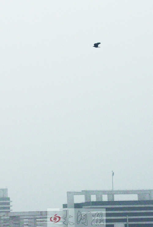 全省35個縣市發(fā)布惡劣天氣預(yù)警信號，其中15個發(fā)布大霧紅色預(yù)警