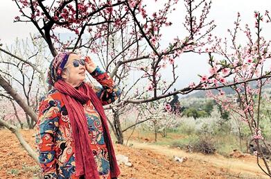 公式“時尚奶奶”的賞花照，收獲了好多人的點贊。 受訪者供圖