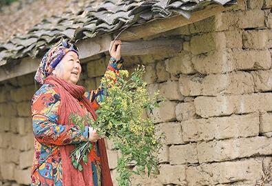 公式“時尚奶奶”的賞花照，收獲了好多人的點贊。 受訪者供圖