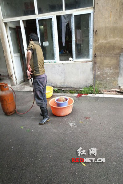 5月8日，男子在校園里殺狗，地上殘留一塊血跡。目擊者供圖。