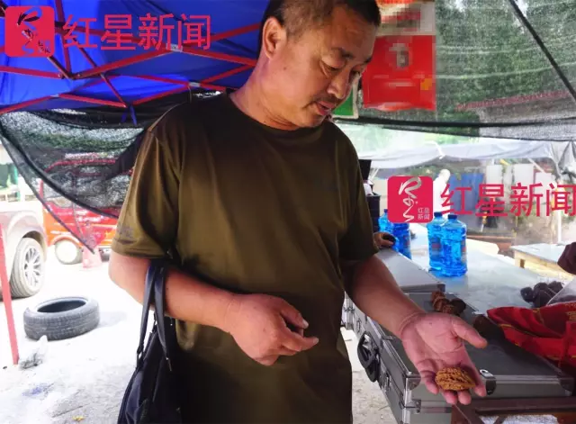 文玩核桃遇冷由幾萬一對降到5元沒人要？商戶否認