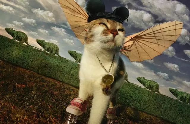 一只虛擬寵物貓叫價13億元？云養(yǎng)貓成真