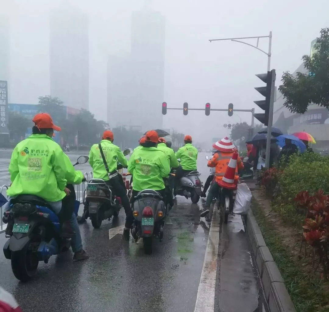 出門打驢？ 南寧“滴滴打驢”被緊急叫停