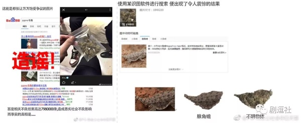 PGone又教給我們一個新詞：虐粉。