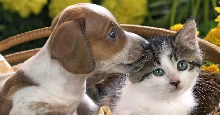 可憐！12歲女孩右眼完全失明 只因平時(shí)有這愛(ài)好