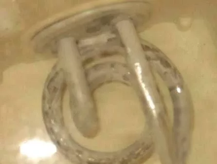 太惡心！女游客竟用酒店燒水壺煮自己的臟內(nèi)褲