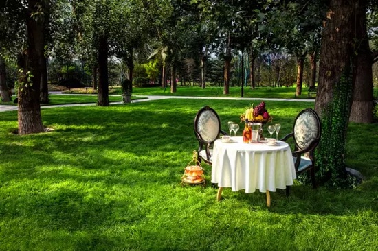 秋陽鴻園，芳草青青