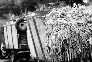 垃圾車、渣土車再在市區(qū)“裸奔”就是違法了