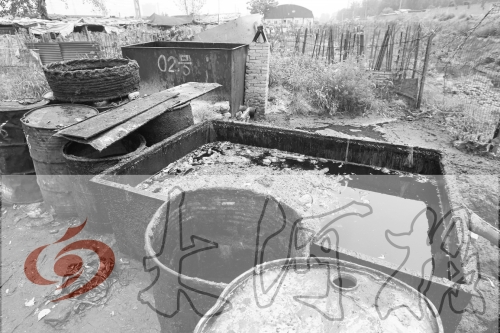 　　骯臟、令人作嘔的油桶凌亂地?cái)[放在院子里，為了避免視覺刺激，我們把它做成了黑白圖片。