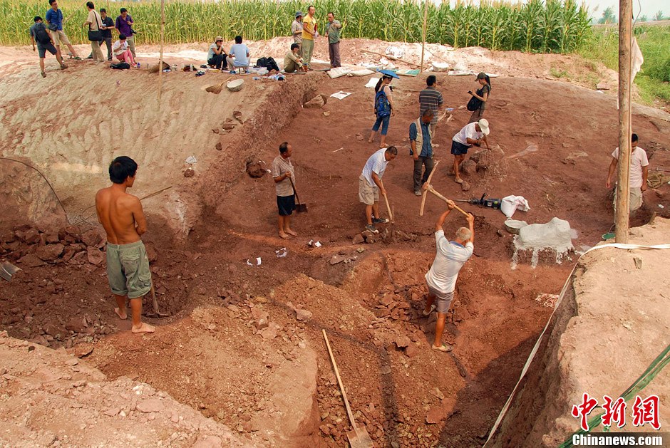 恐龍化石發(fā)掘現(xiàn)場。