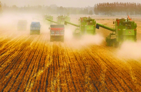 田里，一臺臺收割機唱著豐收歌。