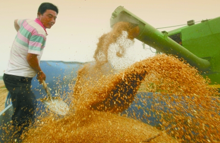 心情喜悅麥龍舞。