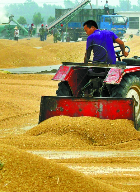 精心晾曬，散倉入庫。