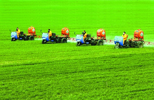 車載噴霧機(jī)奔駛在萬畝高產(chǎn)田里。