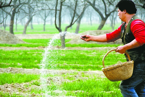 3月18日，內(nèi)黃縣城關(guān)鎮(zhèn)農(nóng)民在給小麥?zhǔn)┓?。眼下正是冬小麥返青的關(guān)鍵時(shí)期，內(nèi)黃縣廣大農(nóng)民積極開展以澆水