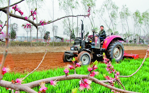　　3月25日，武陟縣龍源辦事處東馬曲村村民正在田里耕作。時下正值春耕時節(jié)，武陟農民紛紛抓住有利時機