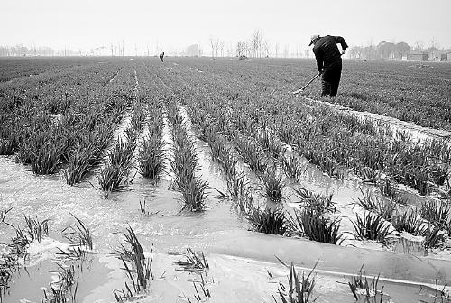 3月25日，濮陽縣郎中鄉(xiāng)大趙寨村農(nóng)民在為小麥澆水。連日來，濮陽縣廣大農(nóng)民不誤農(nóng)時，及時為麥田施肥、澆