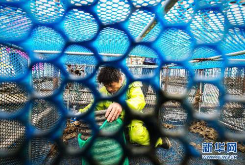 2014年陽(yáng)澄湖大閘蟹開(kāi)捕