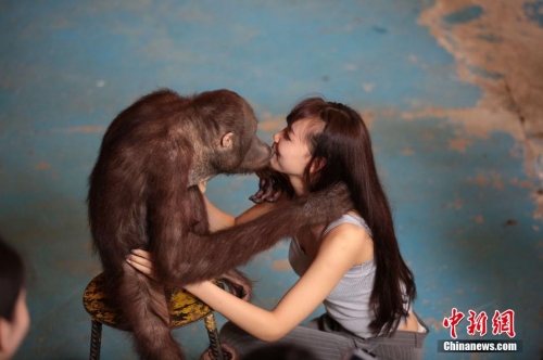 學(xué)生參加校花校草大賽 穿比基尼秀身材