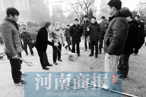 一只辦過(guò)狗證的小白狗，因?yàn)闆](méi)有拴犬鏈，被執(zhí)法人員暫扣