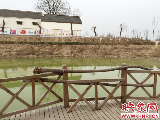 護(hù)欄損毀的地方，已經(jīng)被兩根樹(shù)干擋住。