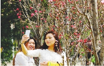 市民在公園與花合影。