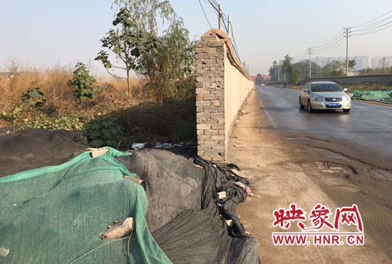 一墻之隔，一邊是道路，一邊是垃圾和荒草，市民質(zhì)疑其為遮羞墻。