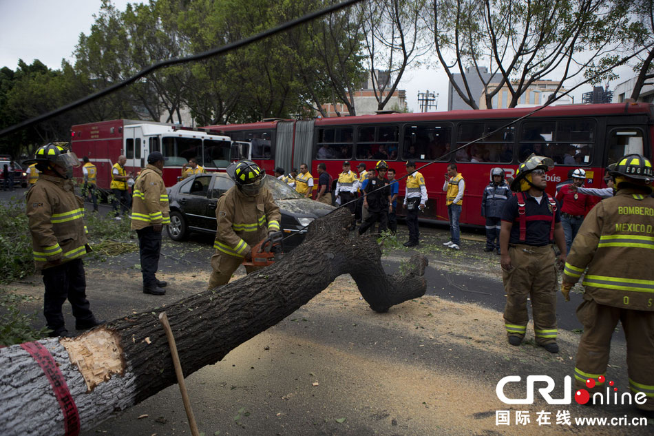 　當(dāng)?shù)貢r(shí)間2014年5月8日，墨西哥墨西哥城，消防人員正在切割一棵倒下的樹?！? width=