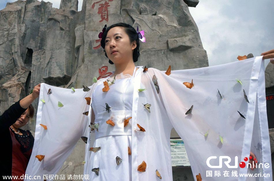 “蝴蝶仙子”身穿上百只剛剛扎死的蝴蝶。圖片來源：老祝/東方IC