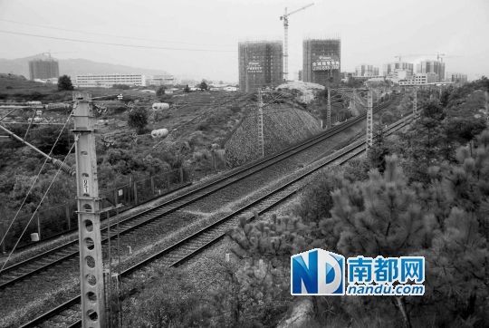 　東源縣法院院長(zhǎng)被火車撞亡事發(fā)地段。