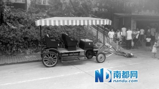 園方則稱解剖后發(fā)現(xiàn)馬死于心臟衰竭，“與累無關(guān)”。