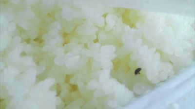 陸先生在高鐵上購買的“梅菜扣肉套餐”盒飯。盒飯中的米飯上有芝麻狀的黑色小蟲。