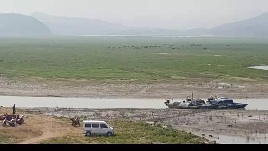 2015年10月27日，“冬季到湖區(qū)看草原”是近年來鄱陽湖生態(tài)濕地興起的旅游項目。江西省星子縣鄱陽湖邊，進入枯水期的鄱陽湖，“草原”風(fēng)光已經(jīng)取代碧水連天，遠處有牛群吃草。 新華社記者郭雅茹 攝