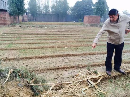 2015年10月20日，河北省柏鄉(xiāng)縣地下水超采區(qū)，地面沉降，大地出現(xiàn)8公里長的裂縫，最寬處有1米寬。農(nóng)民用土填上裂縫，但是一下雨又會塌陷。新華社記者郭雅茹 攝