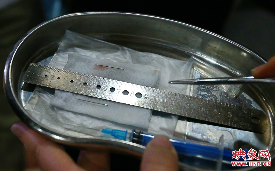 大龍顱內(nèi)取出的鋼針（上）和小龍顱內(nèi)的一樣（下），均為2.5厘米