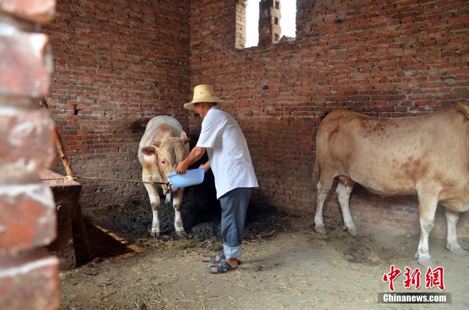 同時(shí)，地下水位的持續(xù)下降以及部分山泉水的干涸，已造成全縣2.85萬(wàn)人和2000頭大牲畜出現(xiàn)飲水困難。