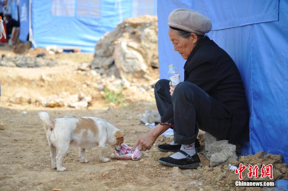 8月6日，一名老人將剛領(lǐng)到的礦泉水分給小狗。