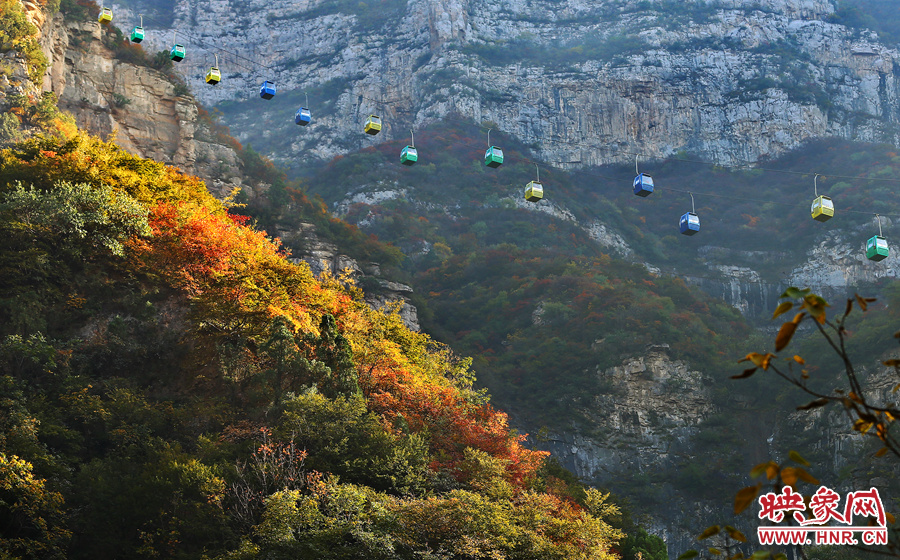 索道下的山坡，陽光灑在色彩繽紛的樹葉上