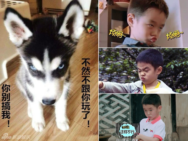 不小心就撞臉了！盤點(diǎn)動(dòng)物界的明星相