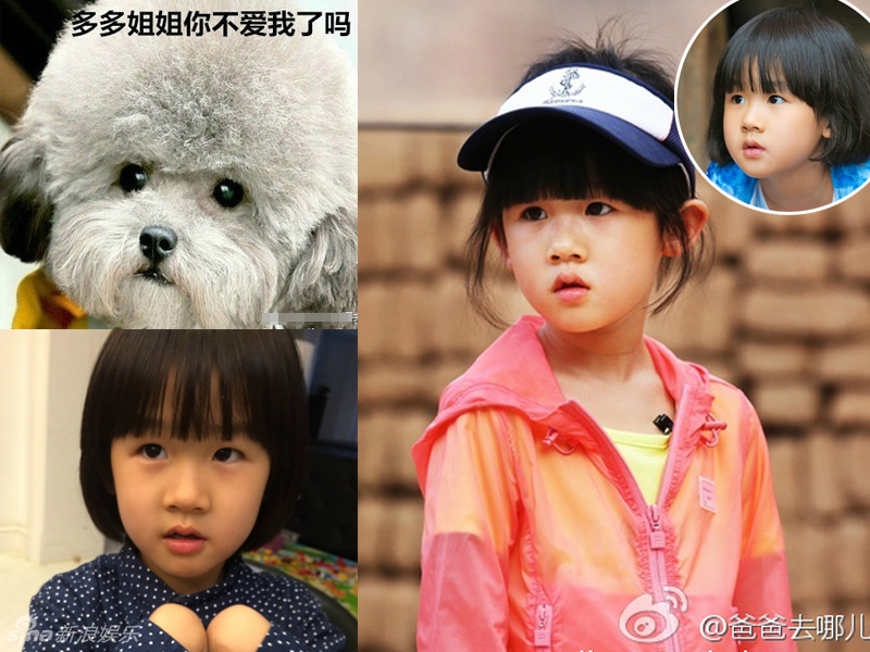 不小心就撞臉了！盤點(diǎn)動(dòng)物界的明星相