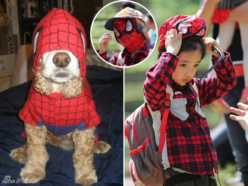 不小心就撞臉了！盤點(diǎn)動(dòng)物界的明星相