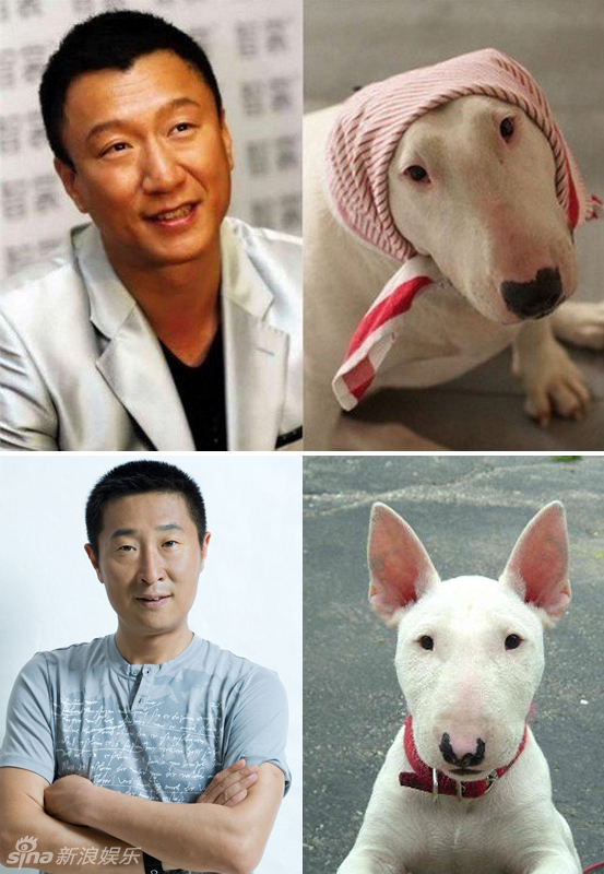 不小心就撞臉了！盤點(diǎn)動(dòng)物界的明星相