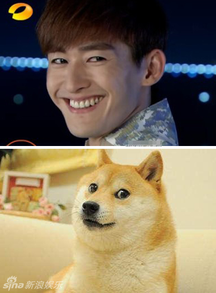 不小心就撞臉了！盤點(diǎn)動(dòng)物界的明星相