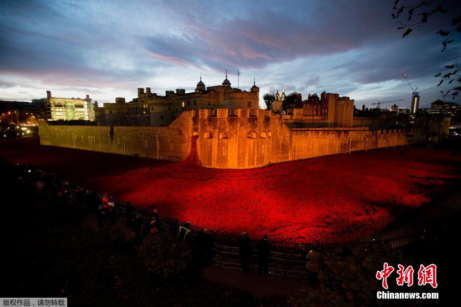 當(dāng)?shù)貢r(shí)間2014年11月10日，英國(guó)倫敦，倫敦塔周邊“種植”了888246朵陶瓷材質(zhì)的罌粟花，以此紀(jì)