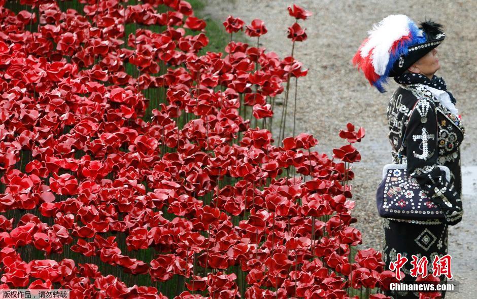 當(dāng)?shù)貢r(shí)間2014年11月10日，英國(guó)倫敦，倫敦塔周邊“種植”了888246朵陶瓷材質(zhì)的罌粟花，以此紀(jì)