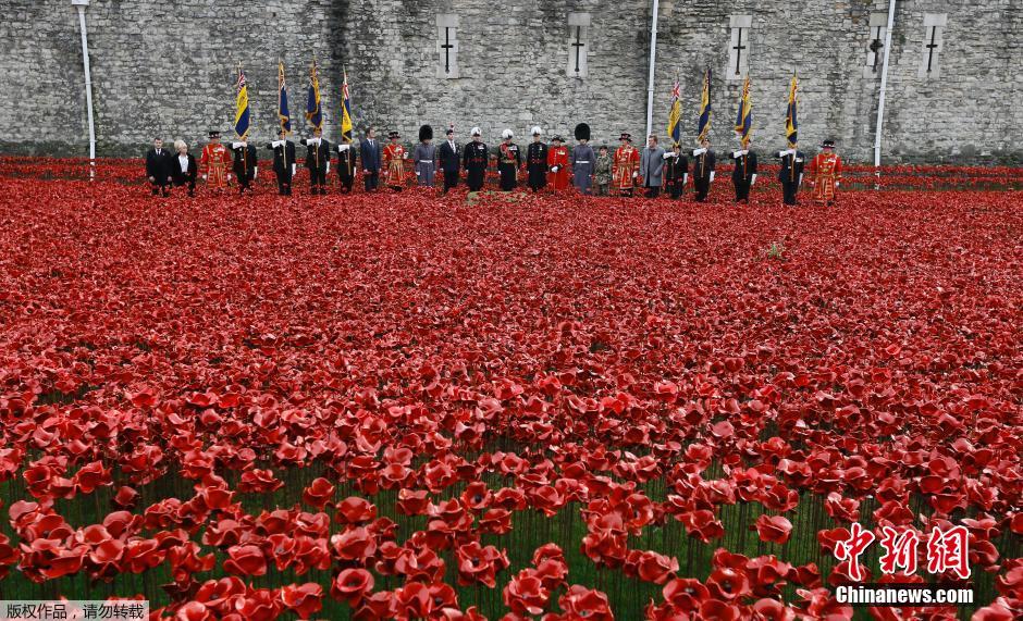 當(dāng)?shù)貢r(shí)間2014年11月10日，英國(guó)倫敦，倫敦塔周邊“種植”了888246朵陶瓷材質(zhì)的罌粟花，以此紀(jì)