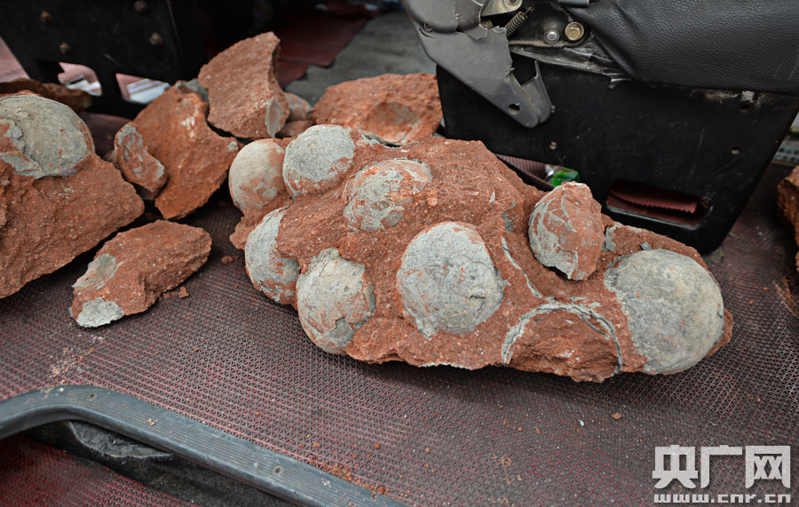 其中完整的19枚，都是直徑約13厘米的“大個(gè)子”。